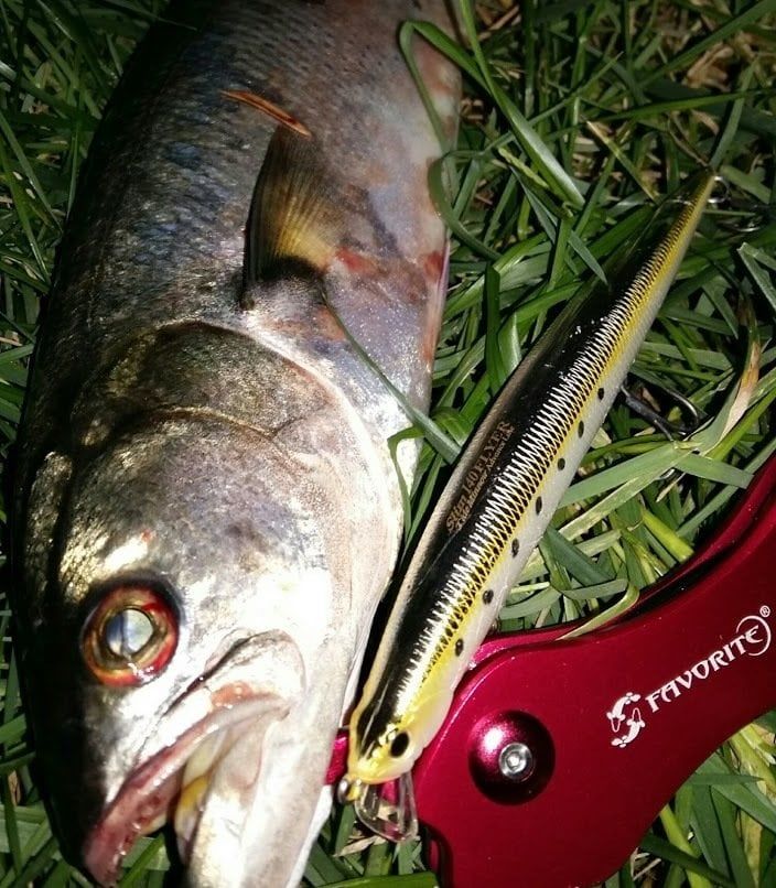 DUO Tide Minnow Slim Flyer 140 AHA0812 / Barracuda ND Maket Yem