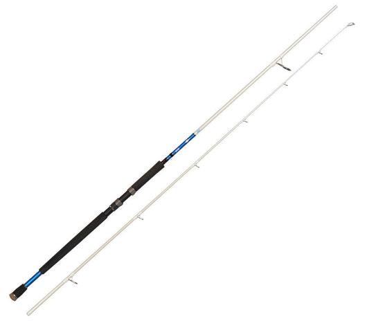 Savage gear Salt 1DFR Shore Jıggıng 274cm  40-80gr 2 Parça