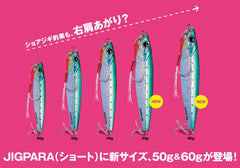 MC Jigpara Short JPS-30g Jig