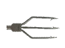 Labrax Zıpkın Ucu Üçlü Ortası Kelebekli