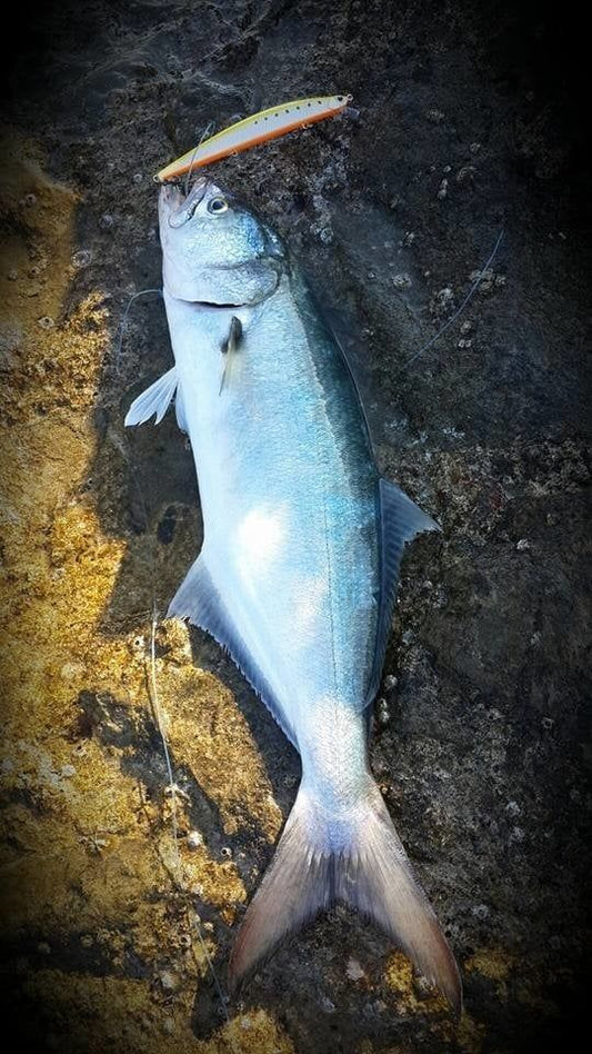 DUO Tide Minnow Slim Flyer 140 AHA0812 / Barracuda ND Maket Yem