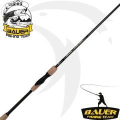 BAUER RAICHO 240 CM SPİN OLTA KAMIŞI 10-40 GR
