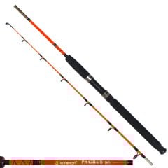 Remixon Pagrus 1.65 m 60-120 gr Bot Kamışı